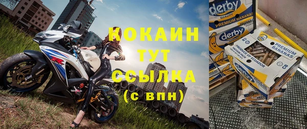 стаф Баксан