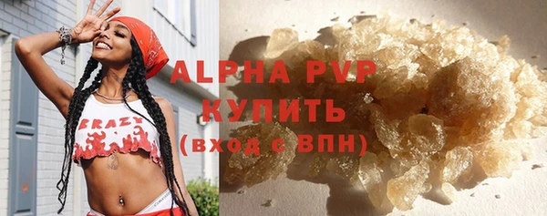 стаф Баксан