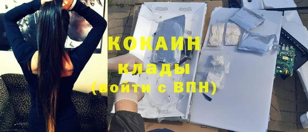 стаф Баксан